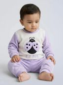 Purple color option, Currently selected