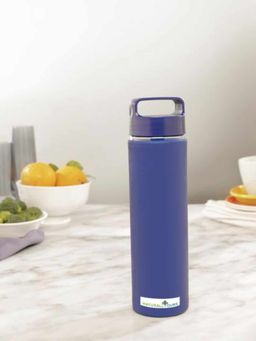 NATURALLY YOURS - Blue Borosilicate Glass Bottle, 550 Ml