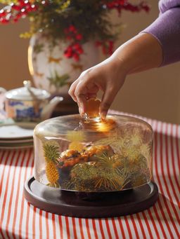 Pure Home + Living - Clear Glass Printed Cloche with Wooden Base