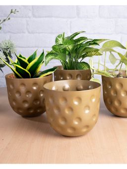 Homesake - Belly Bucket Planters Golden Craters 4 Pieces
