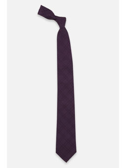 Peter England - Men Purple Check Tie