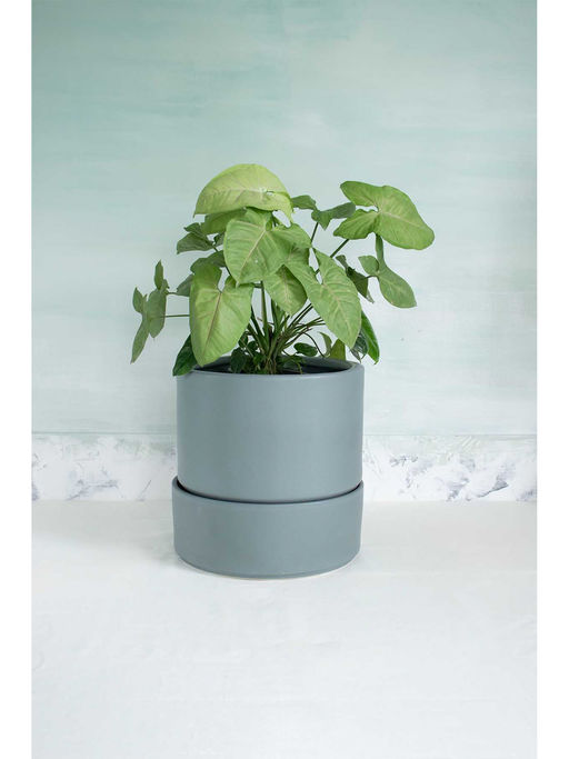 Freedom Tree Nested Concrete Grey Planter With Tray