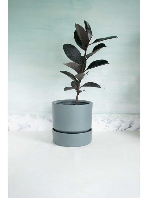 Freedom Tree Nested Concrete Grey Planter With Tray