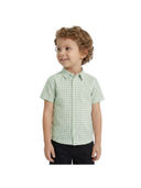 Green color option, Currently selected