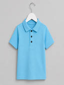 Blue color option, Currently selected
