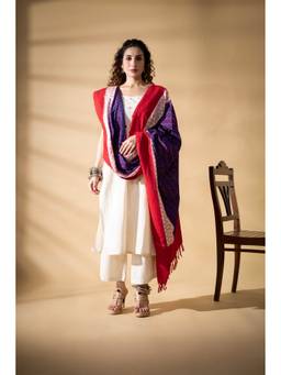 VASTRA RAAG - Red Pochampally Double Ikat Cotton Dupatta