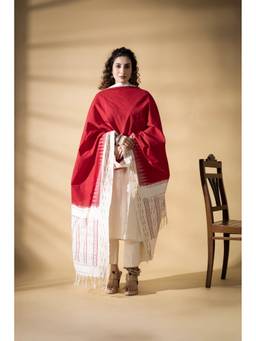 VASTRA RAAG - Red Pochampally Double Ikat Cotton Dupatta