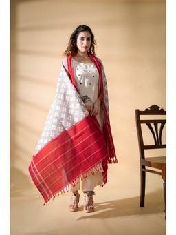VASTRA RAAG - Grey Pochampally Double Ikat Cotton Dupatta