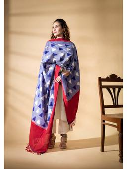 VASTRA RAAG - Blue Pochampally Double Ikat Cotton Dupatta