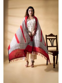 VASTRA RAAG - Grey Pochampally Double Ikat Cotton Dupatta