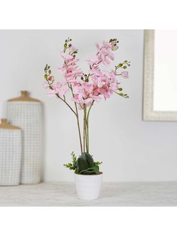HomeTown - Ilana Artificial Orchid Potted Plant 75 cm In Pink Colour