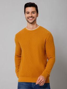 Cantabil - Men Yellow Full Sleeves Sweater