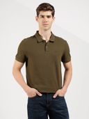 Olive color option, Currently selected