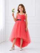 Coral color option, Currently selected