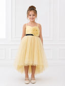 Gold color option, Currently selected