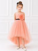 Peach color option, Currently selected