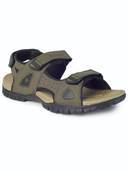 Olive color option