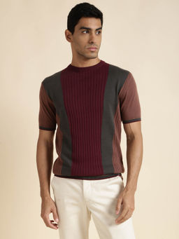 Andamen - Mens Wine Half Sleeves Round Neck Regular Fit T-Shirt