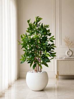 Mason Home - Artificial Dracaena Surculosa Plant - 4 Feet (With Pot)