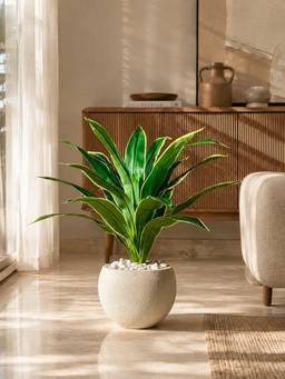 Mason Home - Artificial Variegated Dracaena Plant - 3 Feet (Without Pot)