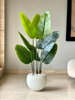 Mason Home - Artificial 4Ft Lush Travellers Palm