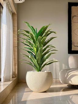 Mason Home - Green Artificial Dracaena Plant