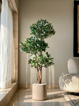 Mason Home - Artificial Bay Topiary Plant