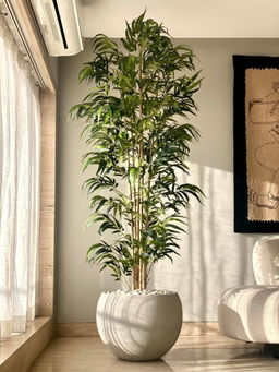Mason Home - Artificial Lush Bamboo Plant - 7 Feet