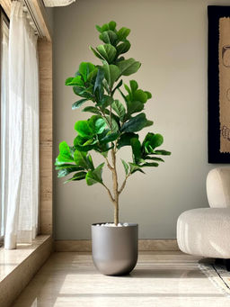 Mason Home - Artificial Decadent Fiddle Plant - 5.5 Feet (Without Pot)