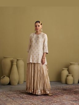 Vaaya - The Sona Chandi Banarasi Muga Silk Top with Handwork