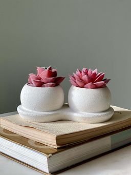 Mason Home - Artificial Pink Twin Succulent (Pack of 2)