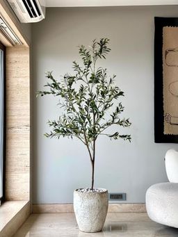 Mason Home - Artificial 6 Feet Olive Tree