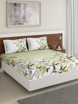 Ddecor Live Beautiful - DDECOR - Bamboo 100% Cotton Double Bedsheet with 2 Pillow Covers, Green