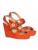 Coral color option, Currently selected