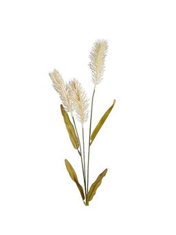 Itsy Bitsy - Artificial Flower Reed Grass Soft White 22.5Inch