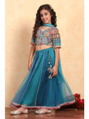 Blue color option