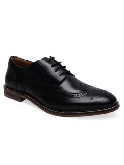 Arrow - Cavill Solid Brogues For Men