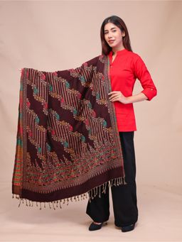 SWI STYLISH - Womens Coffee Acrylic Wool Shawl
