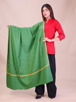SWI STYLISH - Womens Mehndi Hand Embroidered Pure Wool Shawl