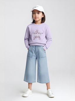 max - Purple Cotton Blend Full Sleeves Sweatshirt