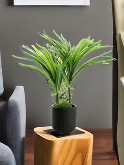 At Home by Nilkamal - artificial succulent Tumbler Potted Plant|30 x 31 cm|Green