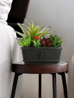 At Home by Nilkamal - Crate Succulent Potted Plant (Green)