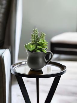 At Home by Nilkamal - artificial succulent Jug Potted Plant|11 x 14.5 cm|Green