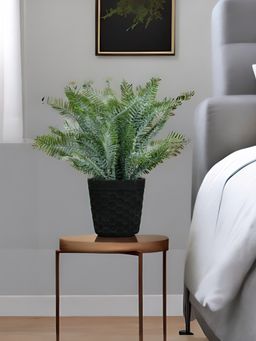 At Home by Nilkamal - Fern Potted Plant (Green)
