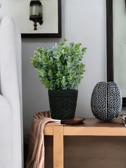 At Home by Nilkamal - Eucal Potted Plant (Green)