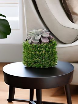 At Home by Nilkamal - Algae Leaf Potted Plant (Green)