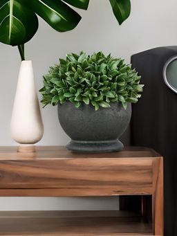 At Home by Nilkamal - artificial succulent Grass With Pot|20 x 20 cm|Green