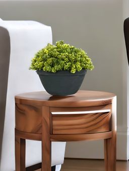At Home by Nilkamal - artificial Succulent Boxwood Potted Plant|20 x 20 cm|Green