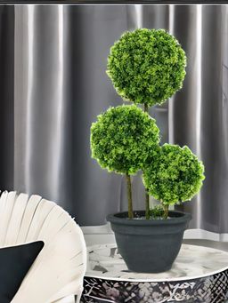At Home by Nilkamal - Boxwood Trio Potted Plant (Green)