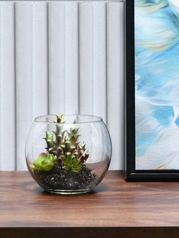 At Home by Nilkamal - Succulent Glass Potted Plant (Green)